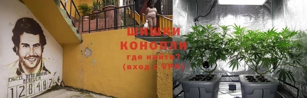 соль ск Белокуриха